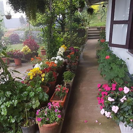 Hotel Rheinberg Town Haus Munnar Esterno foto