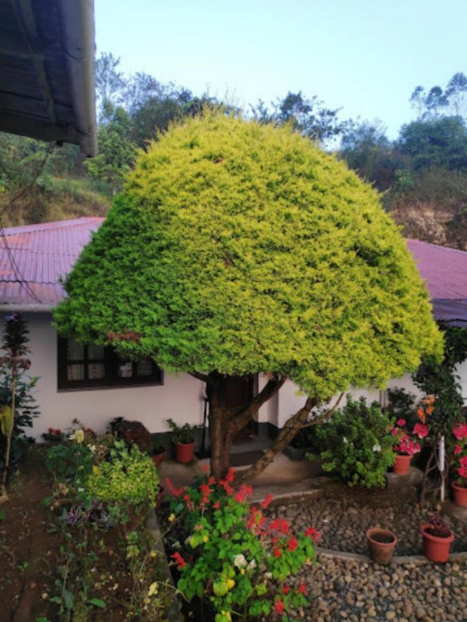 Hotel Rheinberg Town Haus Munnar Esterno foto