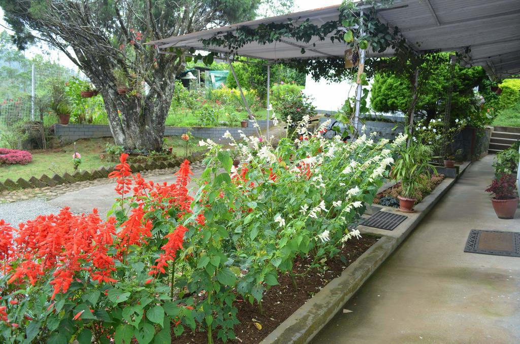 Hotel Rheinberg Town Haus Munnar Esterno foto