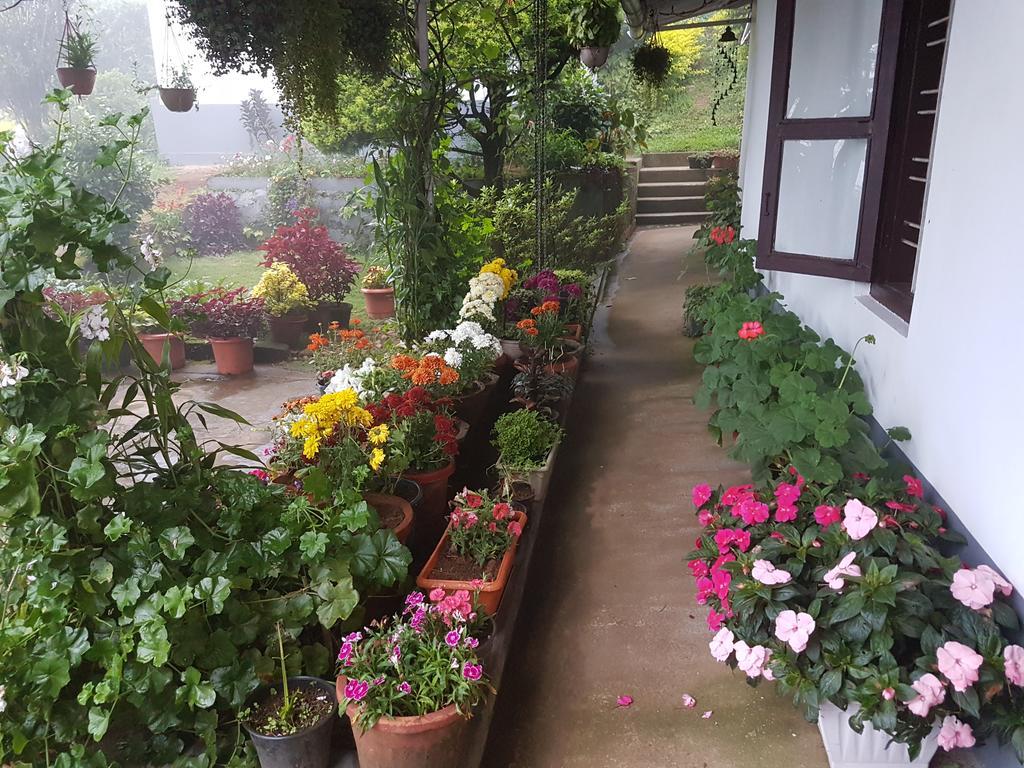 Hotel Rheinberg Town Haus Munnar Esterno foto