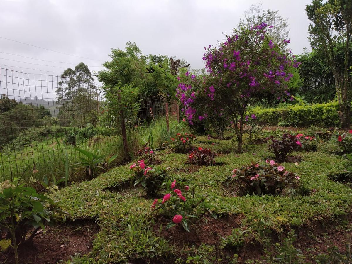 Hotel Rheinberg Town Haus Munnar Esterno foto